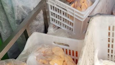 إعدام كميات من اللحوم والدواجن غير صالحة للاستهلاك الآدمي في حملات بالعبور (صور)