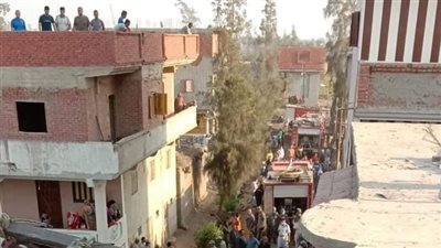 السجن 6 سنوات لأفراد أسرة قتلوا جارهم في مشاجرة بين عائلتين بالشرقية