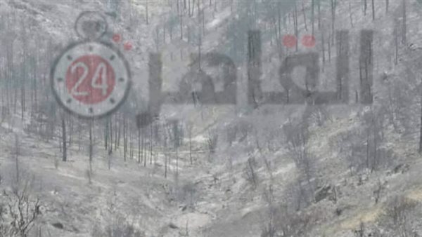 مكان وفاة 4 مصريين