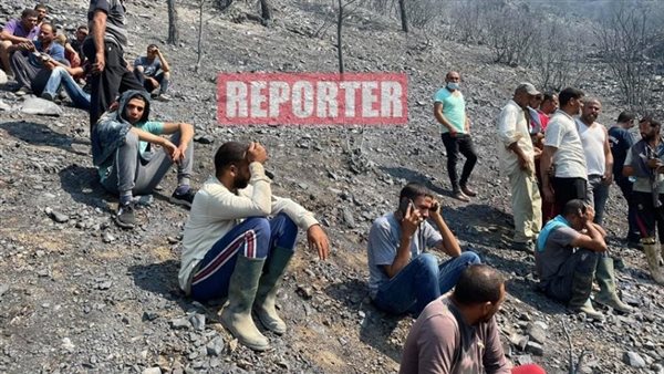 المصريون في قبرص