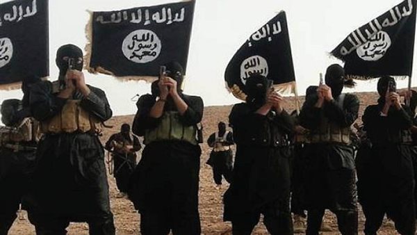 عناصر ارهابية