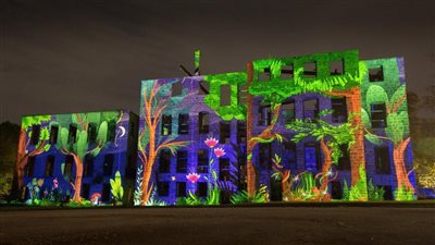 الجمعة.. المركز الثقافي النمساوي يقيم أمسية لفن 