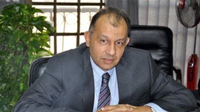 تعيين وليد جمال الدين رئيسًا لمجلس الأعمال المصري - النيجيري