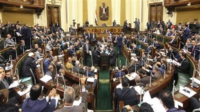 برلماني يطالب الحكومة بتنظيم برامج توعية لمكافحة التحرش