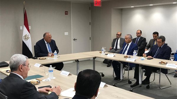 وزير الخارجية يلتقي