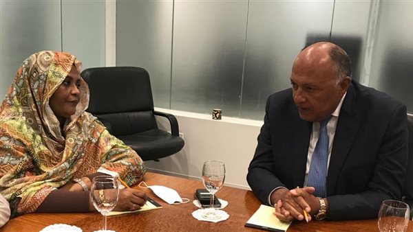 اجتماع وزير الخارجية