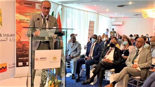 دكتور أحمد مغاوري