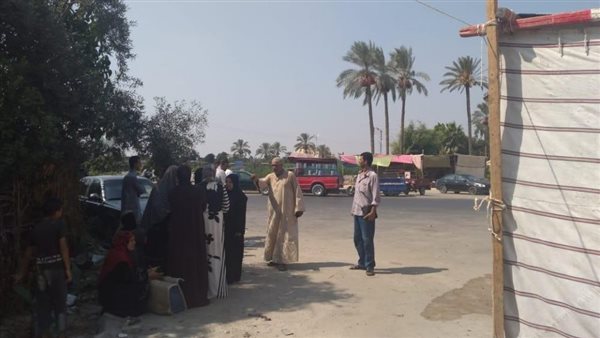 انتخابات الشيوخ بالإسماعيلية