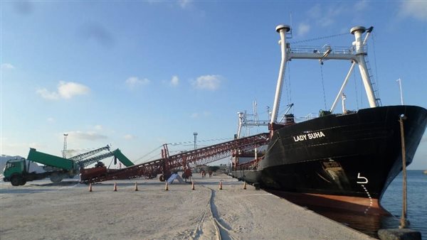 تصدير الحبوب