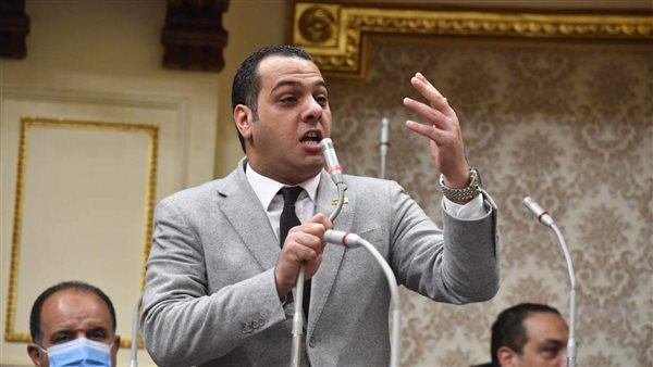 محمود شعلان عضو مجلس