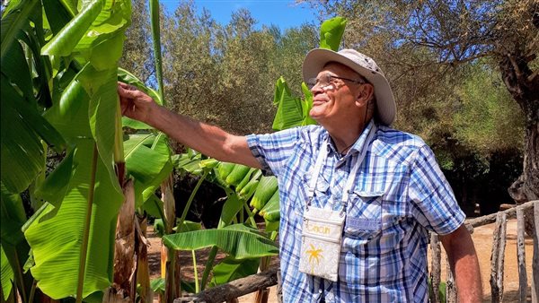 الطبيب المجري