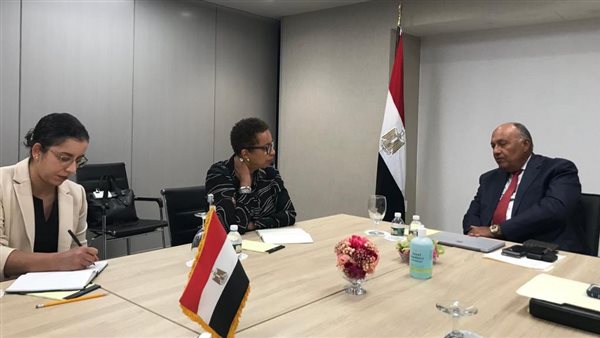 وزير الخارجية يلتقي