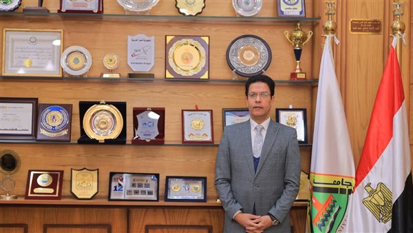 الدكتور ناصر الجيزاوى