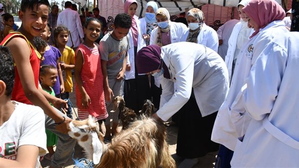 أثناء الكشف على الأضاحي