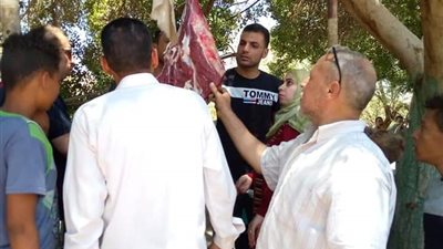 ضبط 120 كجم من اللحوم الفاسدة وإعدام 250 زجاجة عصير منتهية الصلاحية بسوهاج (صور)