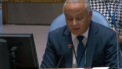 مندوب تونس في مجلس الأمن: ندعو لاتفاق ملزم بشأن أزمة سد النهضة