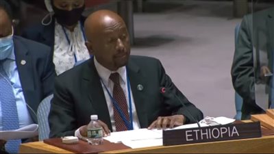وزير الري الإثيوبي: مناقشة أزمة سد النهضة في مجلس الأمن تضيع وقت وموارد الأمم المتحدة