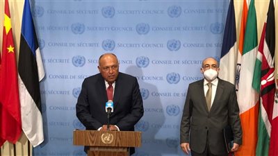 وزير الخارجية: على بعض الدول تبرير صمتها عن التعامل مع ملف سد النهضة