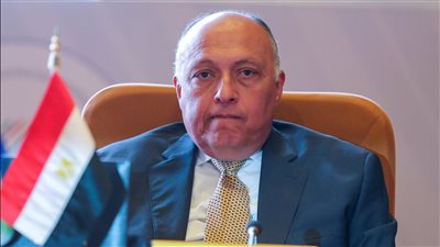 وزير الخارجية: النهج الإثيوبي أفشل جميع الجهود للوصول لاتفاق