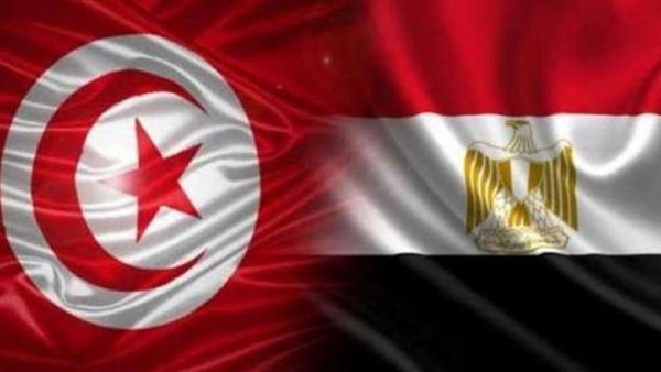 العلاقات المصرية