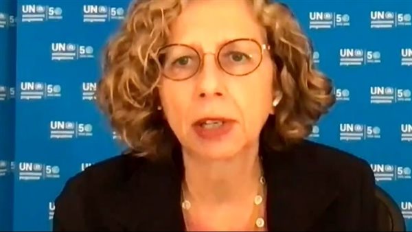 المدير التنفيذي لبرنامج