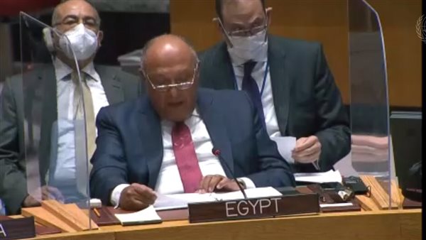 سامح شكري في مجلس