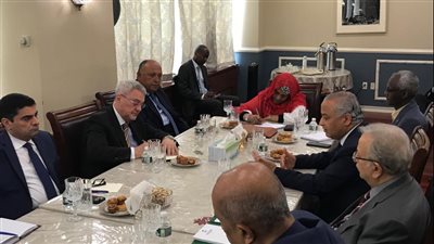 أول تحرك لوزير الخارجية بعد جلسة مجلس الأمن الدولي (صور)