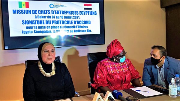 نيفين جامع وزيرة