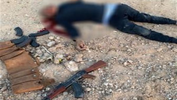 مصرع عنصرين إجراميين