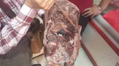 ضبط 110 كيلو مواد غذائية فاسدة قبل عيد الأضحى بسوهاج (صور)