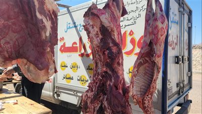 بأسعار مخفضة.. 