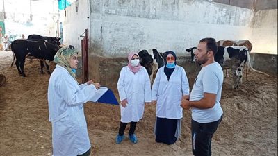 استعدادًا للعيد.. 90 زيارة ميدانية لـ 