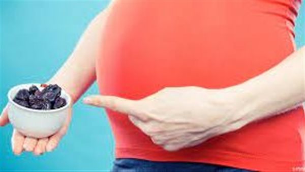 البرقوق والحامل