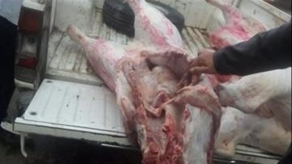 حملات مكثفة على محلات