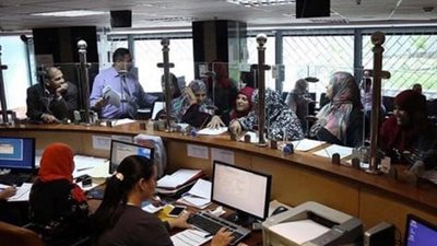 قانوني: وجوب التسوية الوظيفية تقضي على فرص المحسوبية والواسطة داخل المؤسسات