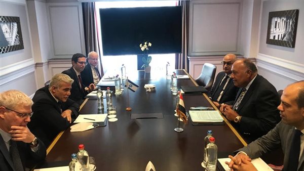 وزير الخارجية سامح