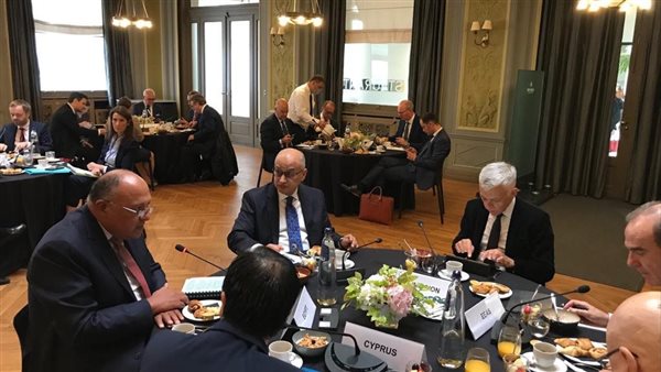  شكري يبحث أزمة سد