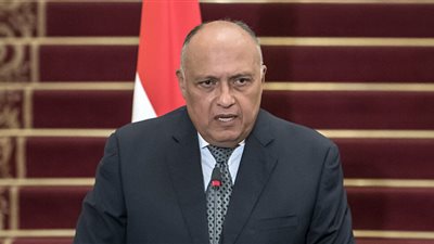 وزير الخارجية عن العلاقات مع تركيا: نُقيم الأمور الخاصة بالأمن القومي (فيديو)