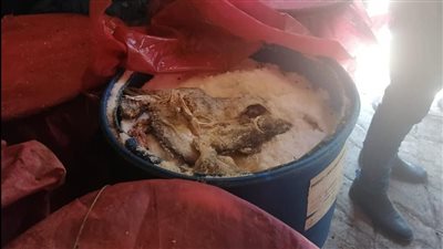 ضبط 4 أطنان فسيخ غير صالحة للاستخدام الآدمي بكفر الشيخ (صور)