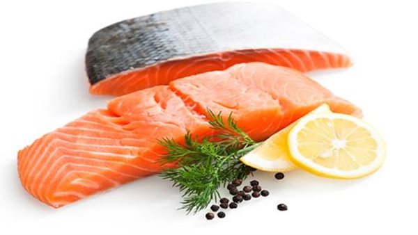 أسماك السلمون