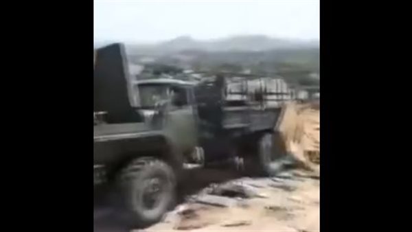 فيديو لتيجراي