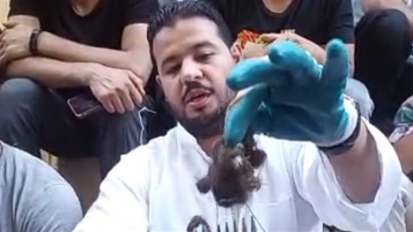 العثور على مُشط ومُشاطة