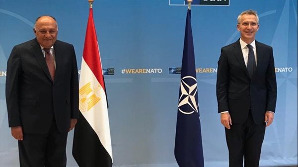 وزير الخارجية سامح