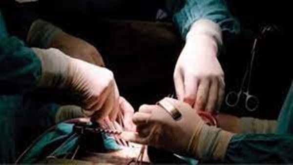 الأعضاء البشرية