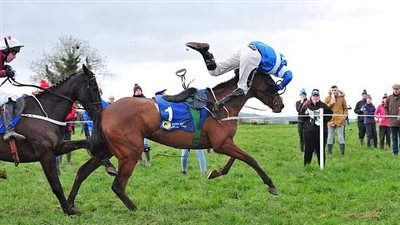 سقوط المتسابق المصري من أعلى الحصان في بطولة العالم للخماسي الحديث (فيديو)