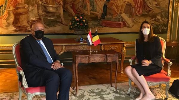 وزي الخارجية ونائب