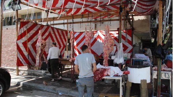 لحوم ـ أرشيفية 