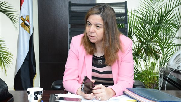 المهندسة مي عبد الحميد