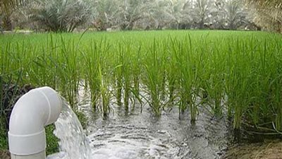 الإحصاء: 6.5 مليار م3 مياه صرف زراعي معاد استخدامها خلال 2019 / 2020