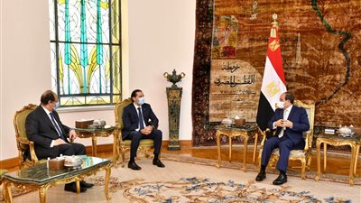 السيسي يستقبل سعد الحريري رئيس الوزراء اللبناني